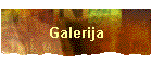 Galerija