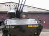 bov2.jpg (53620 bytes)